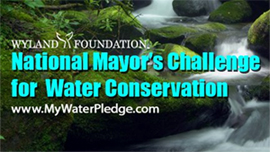 The Wyland Foundation National Mayor’s Challenge for Water Conservation logo with mountain stream backdrop.